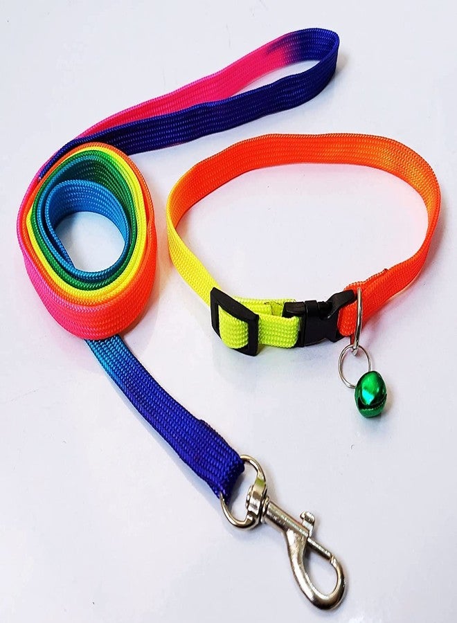 Pups&Pets Rainbow Dog Collar & Leash for Puppies, Small Dogs, Cat Collar with Bell (Adjustable Neck Size : 7-12nch) Dog Head Collar Dogs, Cat Collar with Bell (Color May Vary) - Image 1